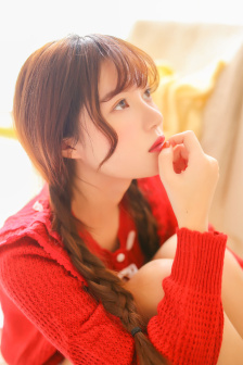 十二金鸭
